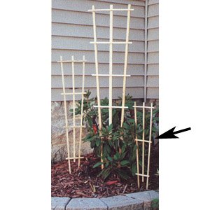 Grower Trellis 2' Standard Natural - 25 per pack - Plant Cages, Plant Support & Anchors